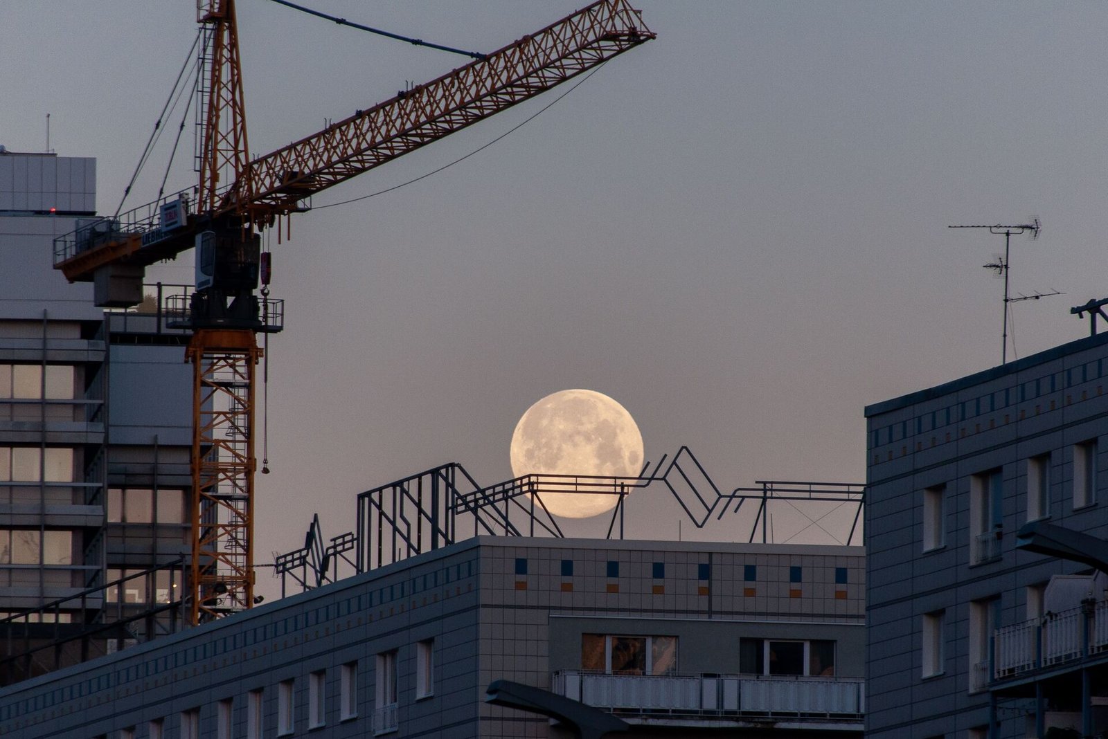 Construction crane silhouetted against the night sky